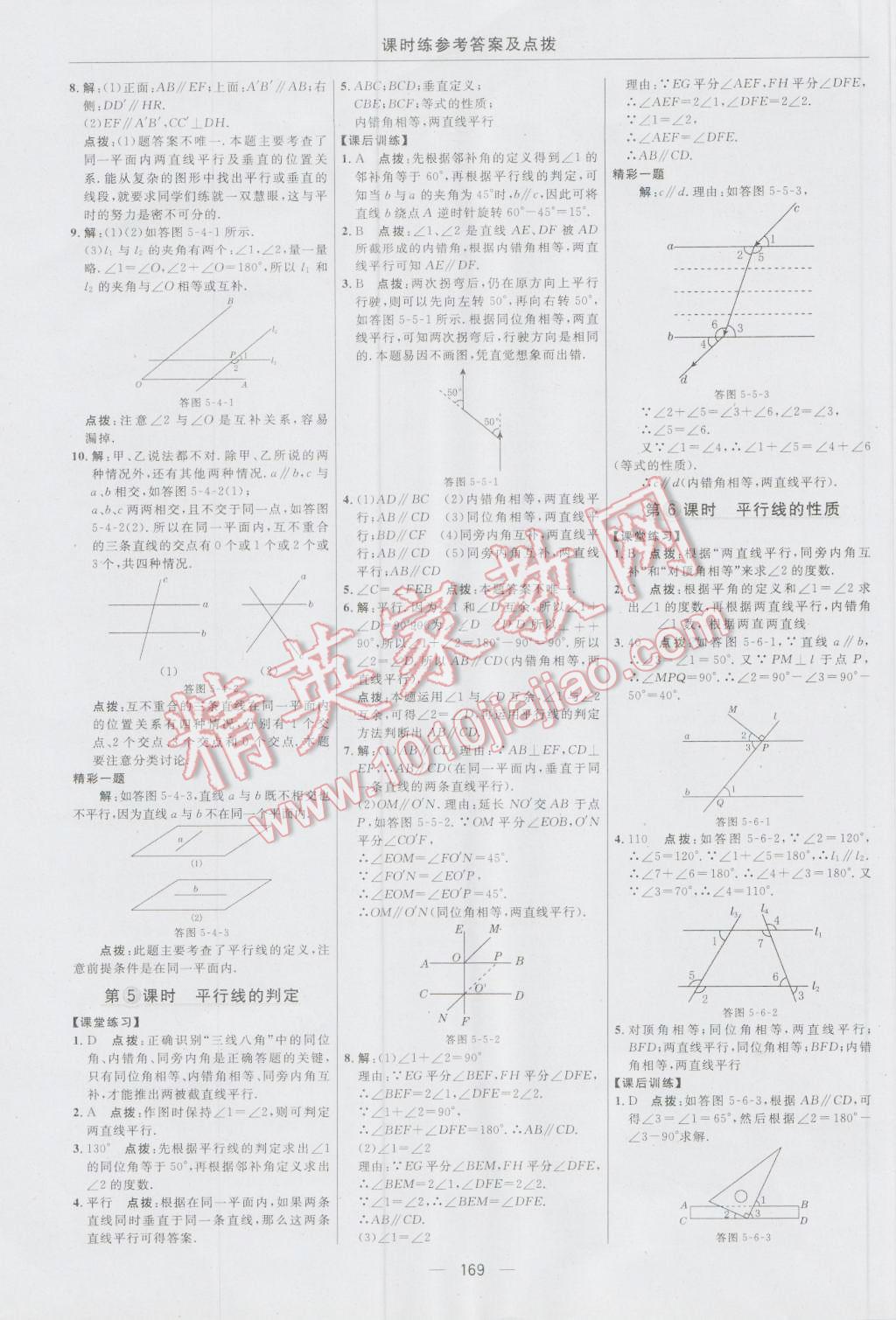 2016年点拨训练七年级数学上册华师大版 参考答案第31页