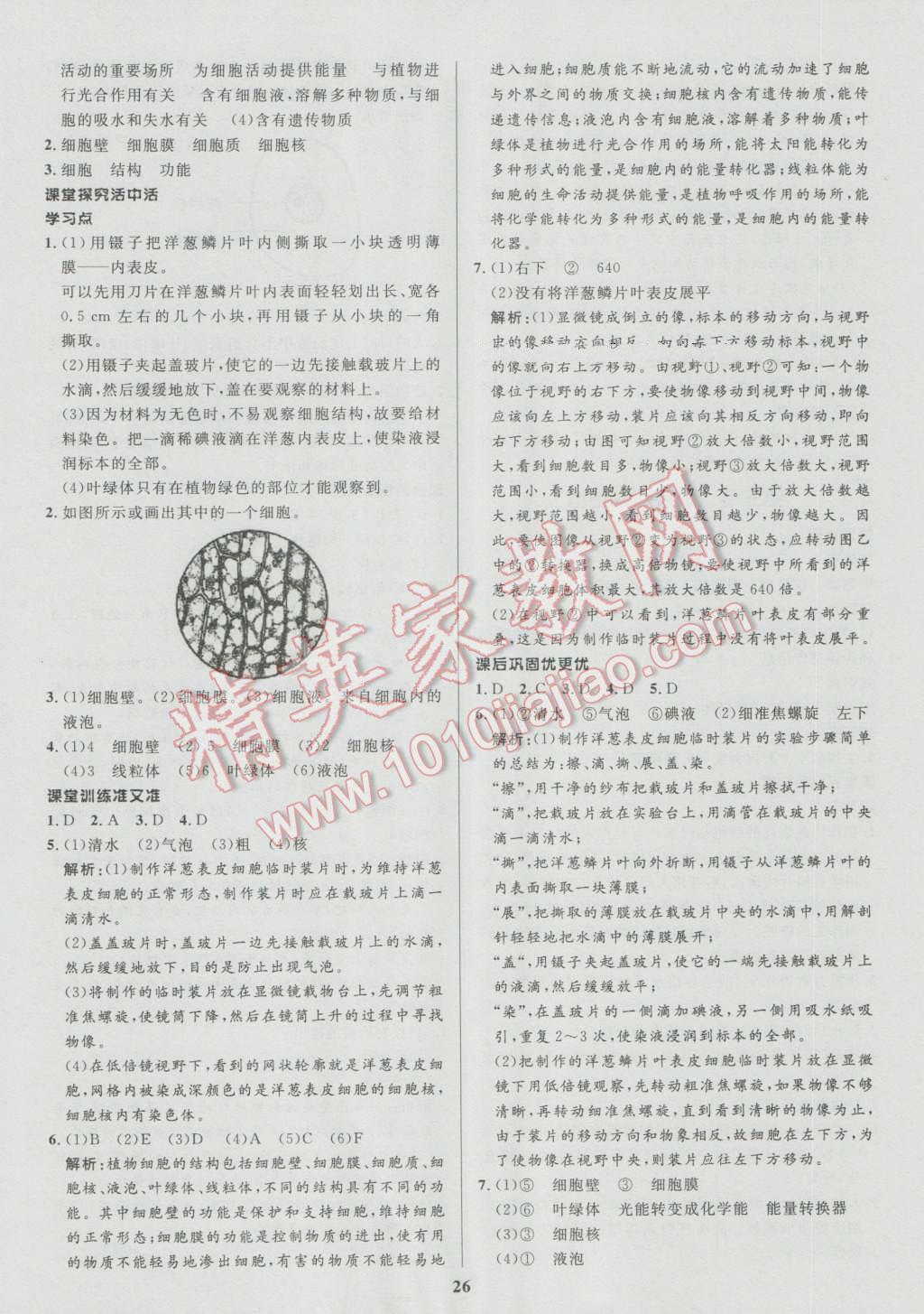 2016年天梯学案初中同步新课堂六年级生物上册 参考答案第10页