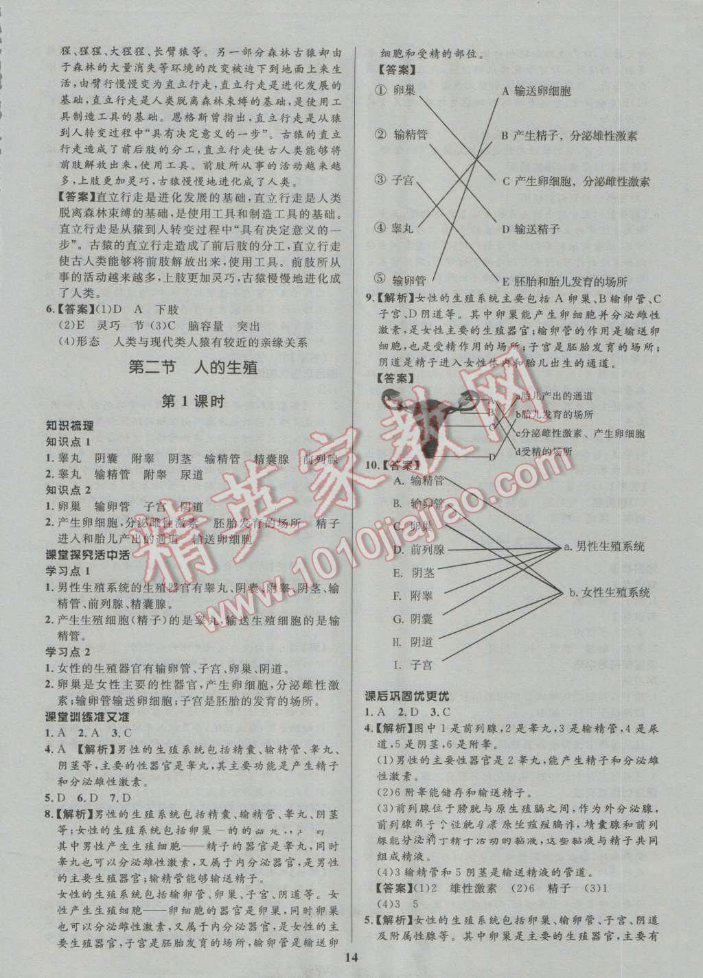 2016年天梯學(xué)案初中同步新課堂七年級生物上冊魯科版五四制 參考答案第2頁