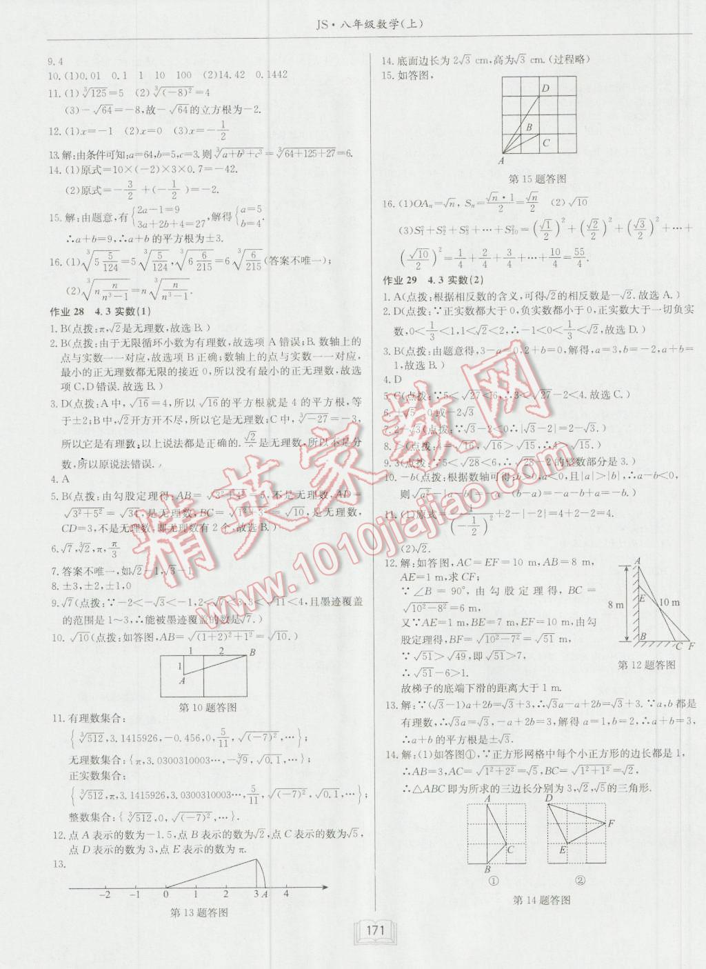 2016年启东中学作业本八年级数学上册江苏版 第19页