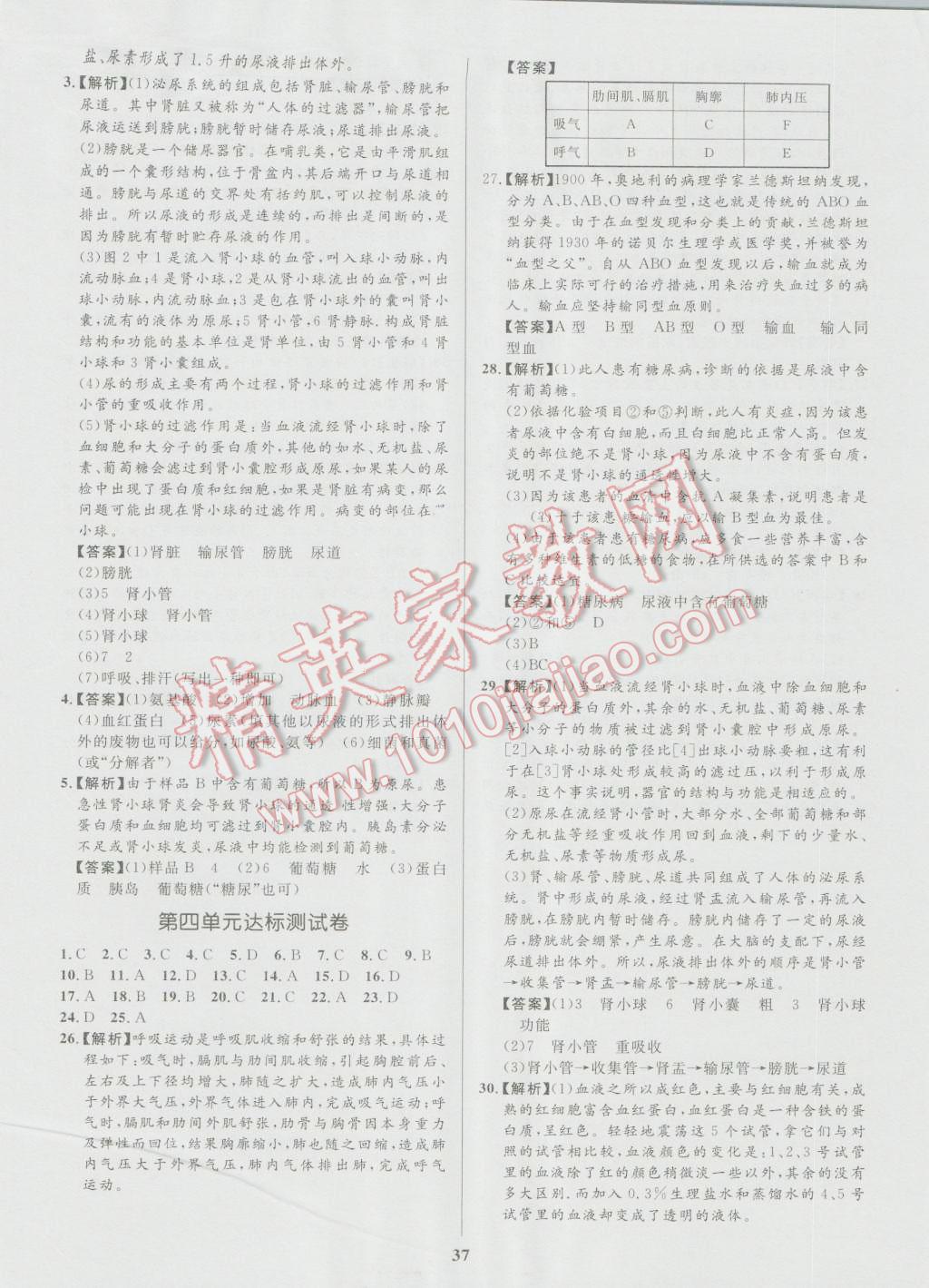 2016年天梯學(xué)案初中同步新課堂七年級(jí)生物上冊(cè)魯科版五四制 參考答案第25頁(yè)