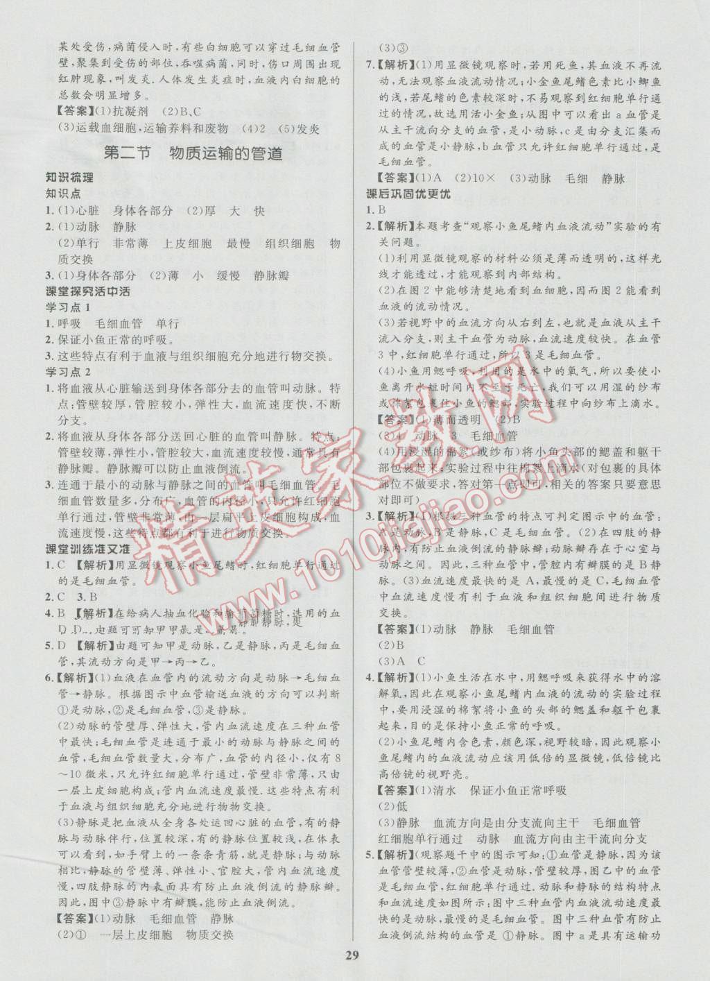 2016年天梯学案初中同步新课堂七年级生物上册鲁科版五四制 参考答案第17页