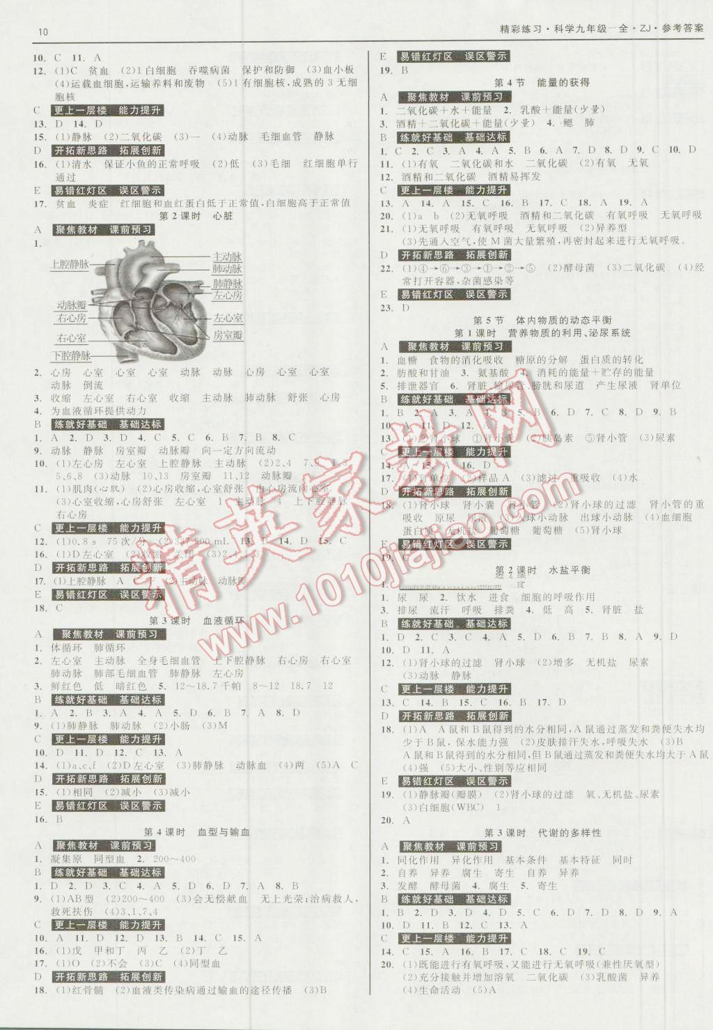 2016年精彩練習(xí)就練這一本九年級(jí)科學(xué)全一冊(cè)浙教版 第10頁