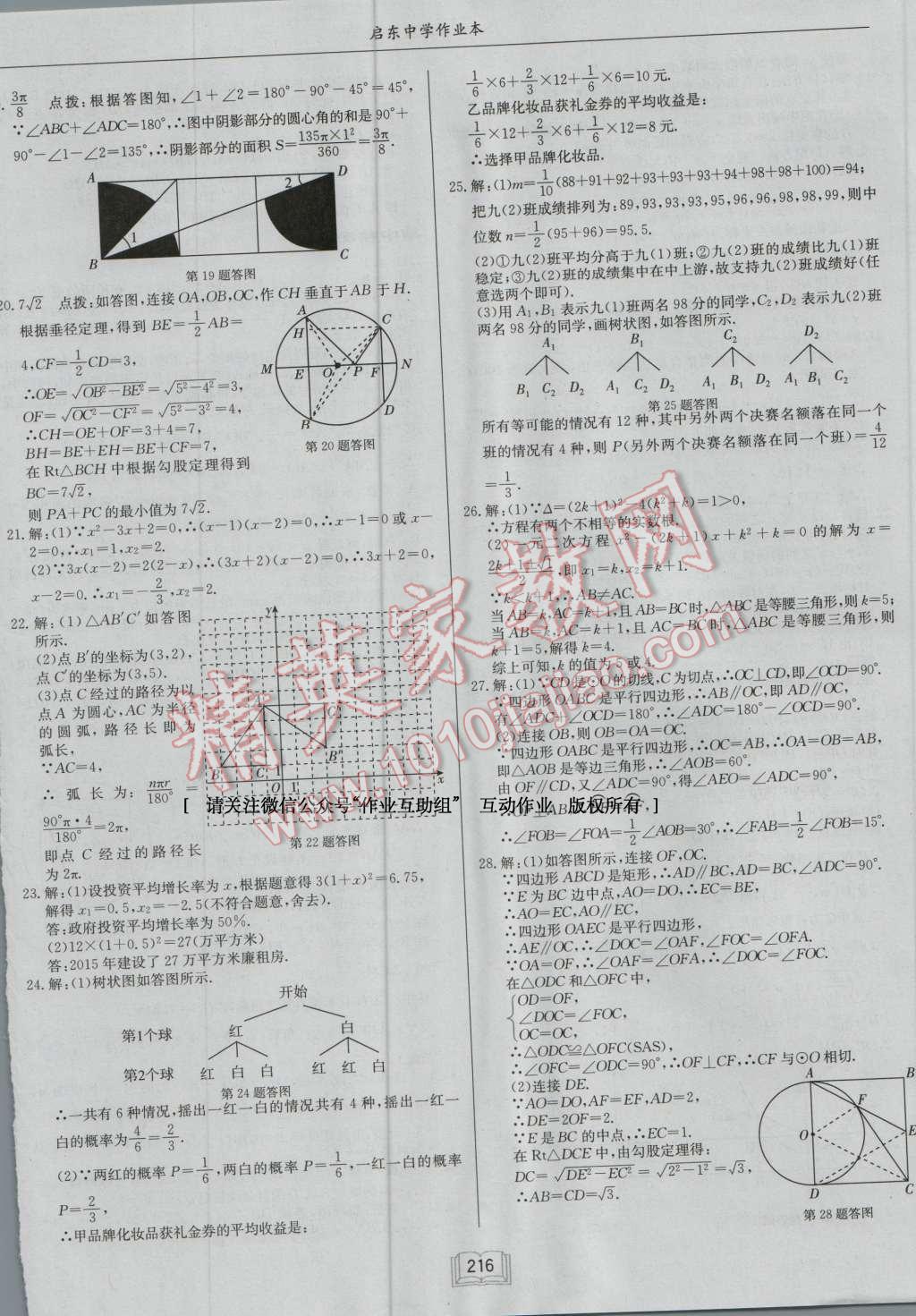 2016年启东中学作业本九年级数学上册江苏版 第52页