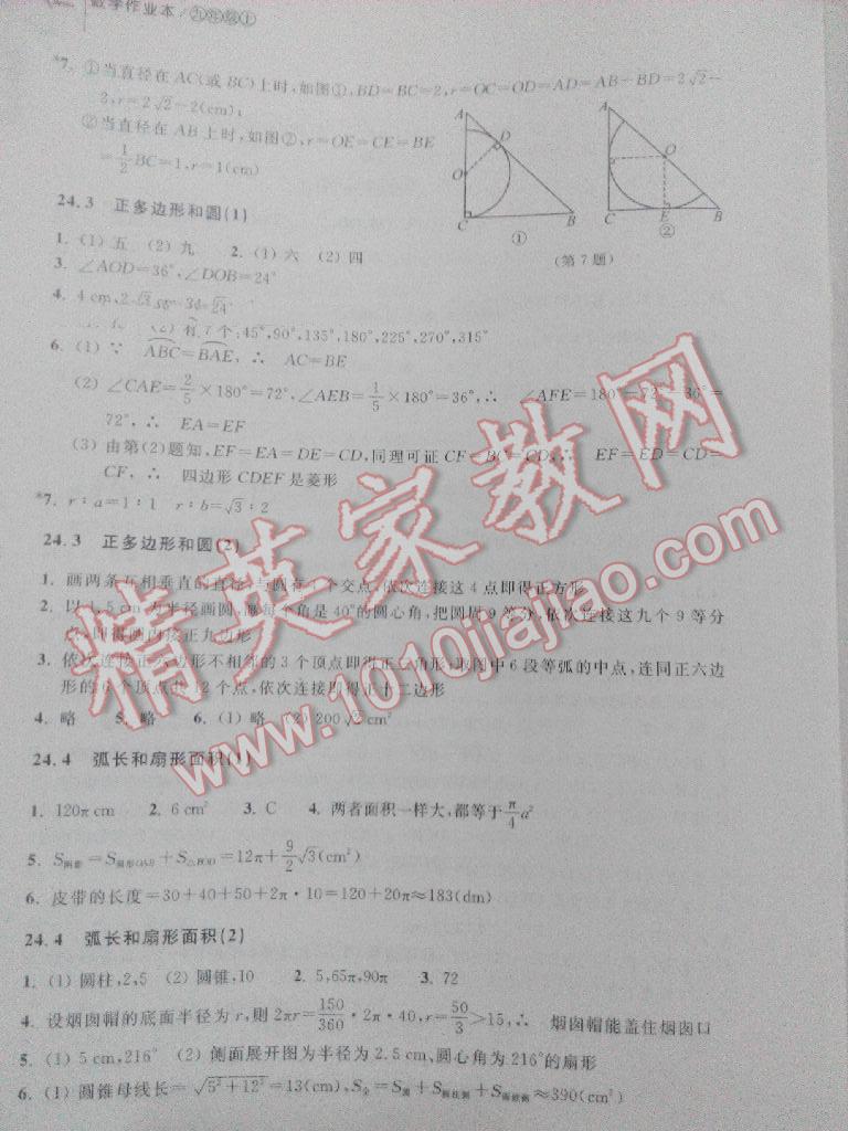 2016年作业本九年级数学上册人教版浙江教育出版社 第10页