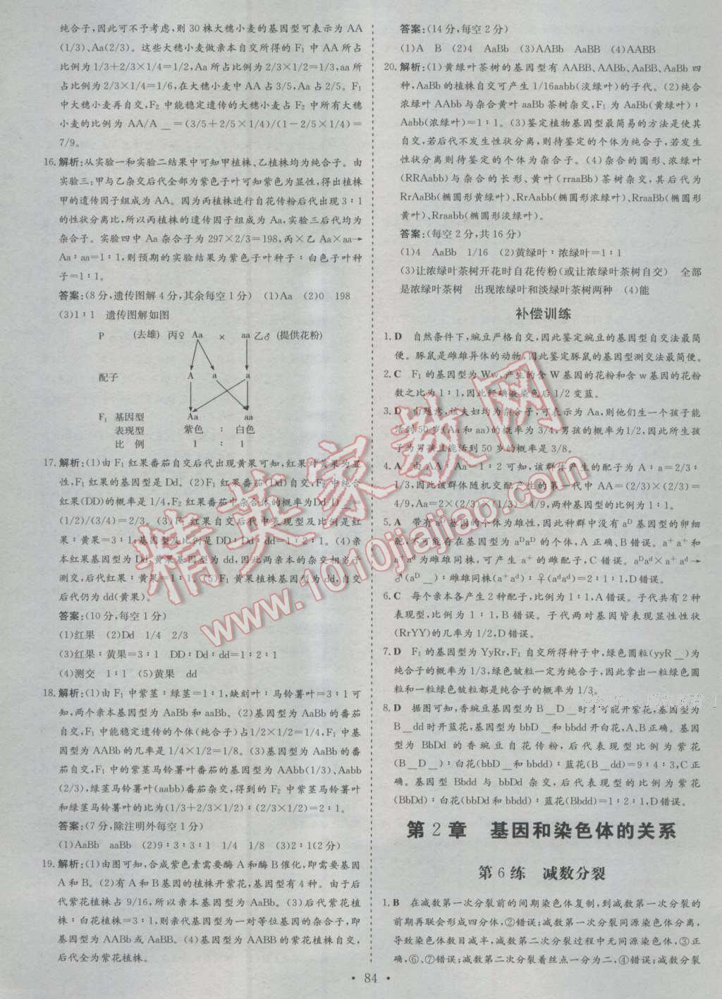 小題巧練生物必修2人教版 第6頁(yè)