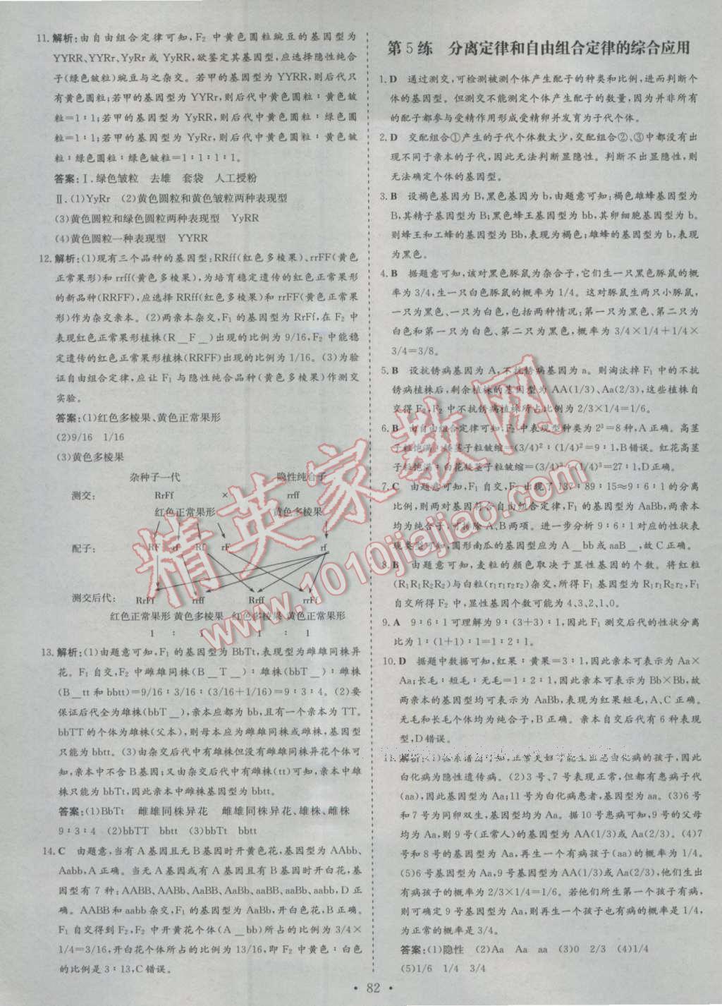 小題巧練生物必修2人教版 第4頁