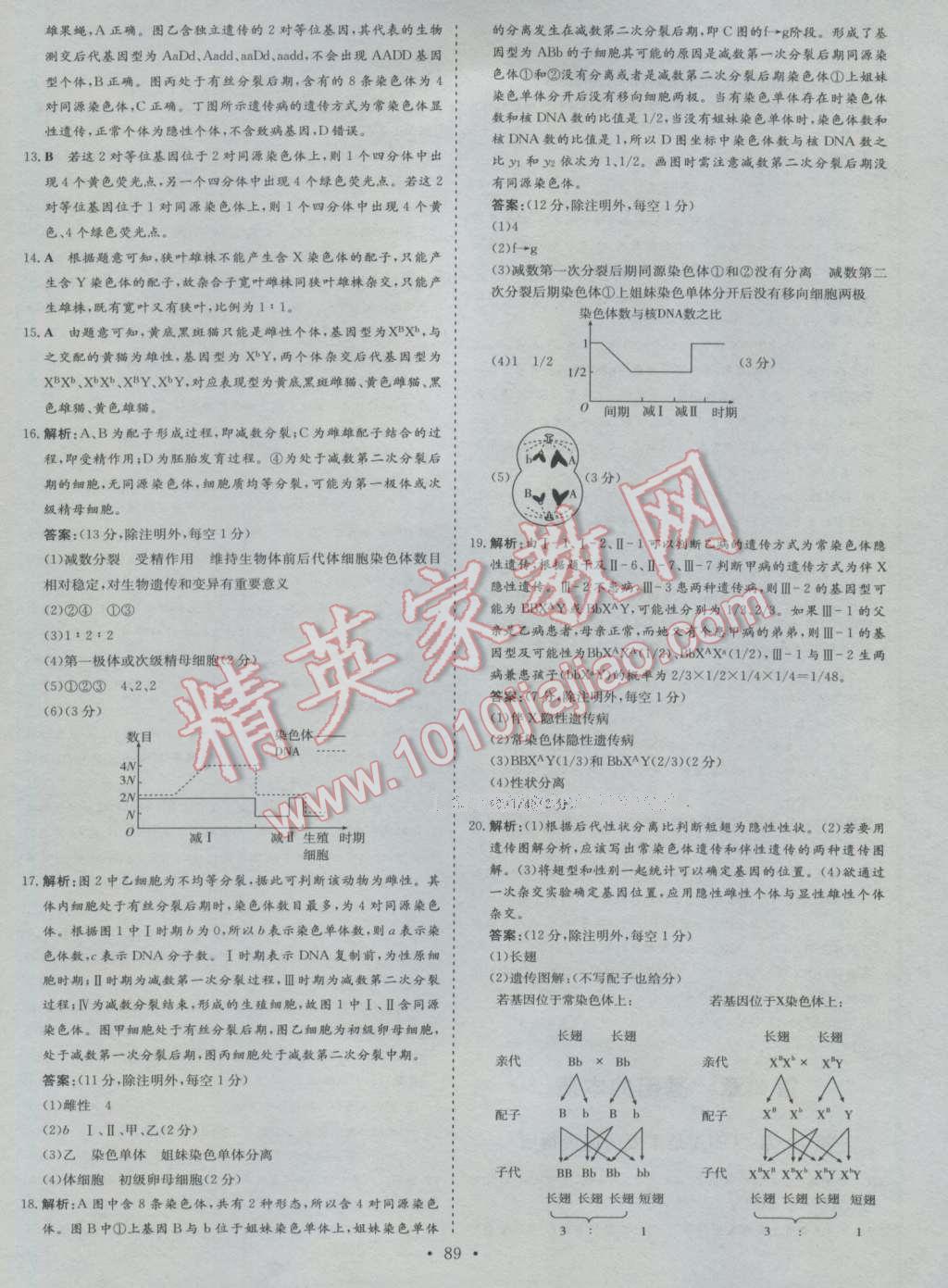 小題巧練生物必修2人教版 第11頁(yè)