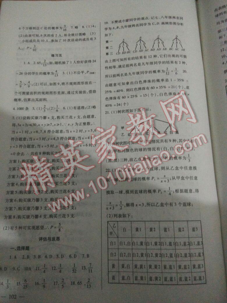 2016年配套综合练习九年级数学上册北师大版北京师范大学出版社 第5页