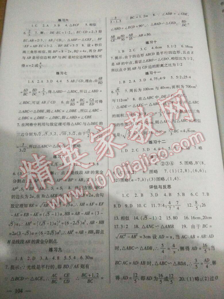 2016年配套综合练习九年级数学上册北师大版北京师范大学出版社 第7页