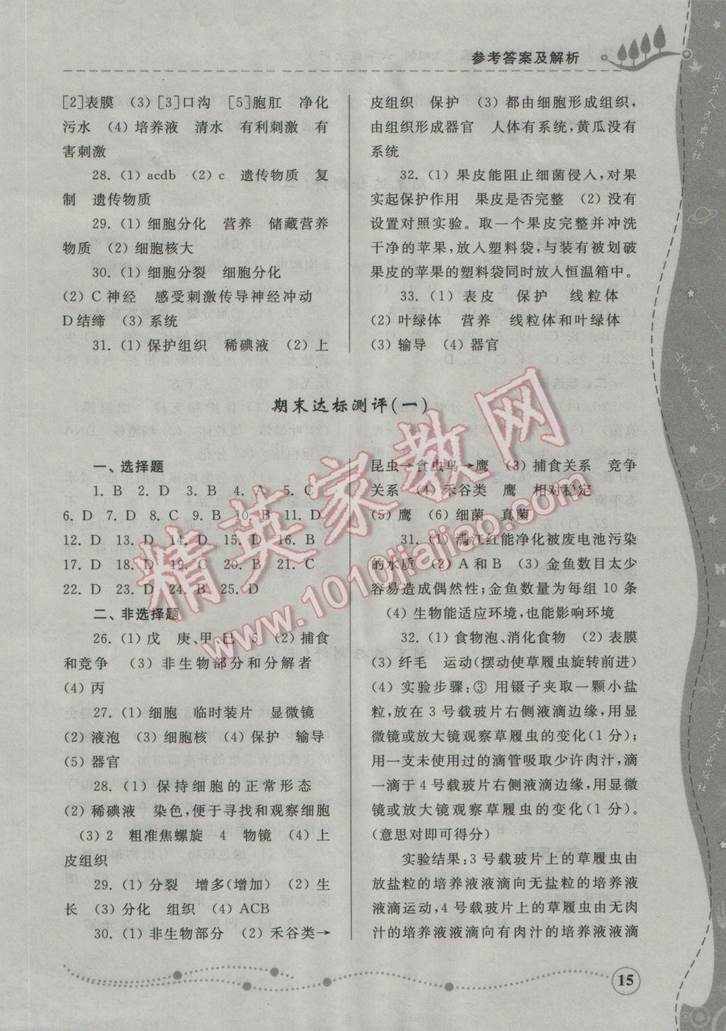 2016年綜合能力訓(xùn)練六年級生物學(xué)上冊魯科版五四制 參考答案第15頁