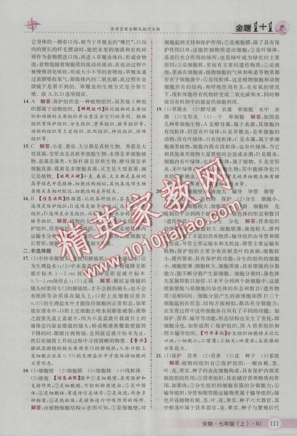 2016年金題1加1七年級生物上冊人教版 參考答案第19頁