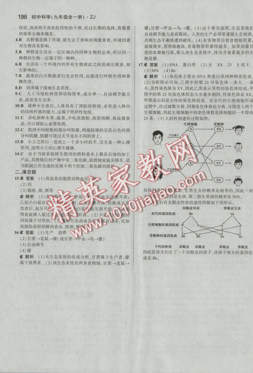 2016年5年中考3年模擬初中科學九年級全一冊浙教版 參考答案第58頁