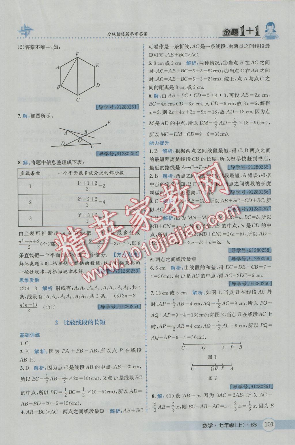 2016年金題1加1七年級數(shù)學上冊北師大版 參考答案第19頁