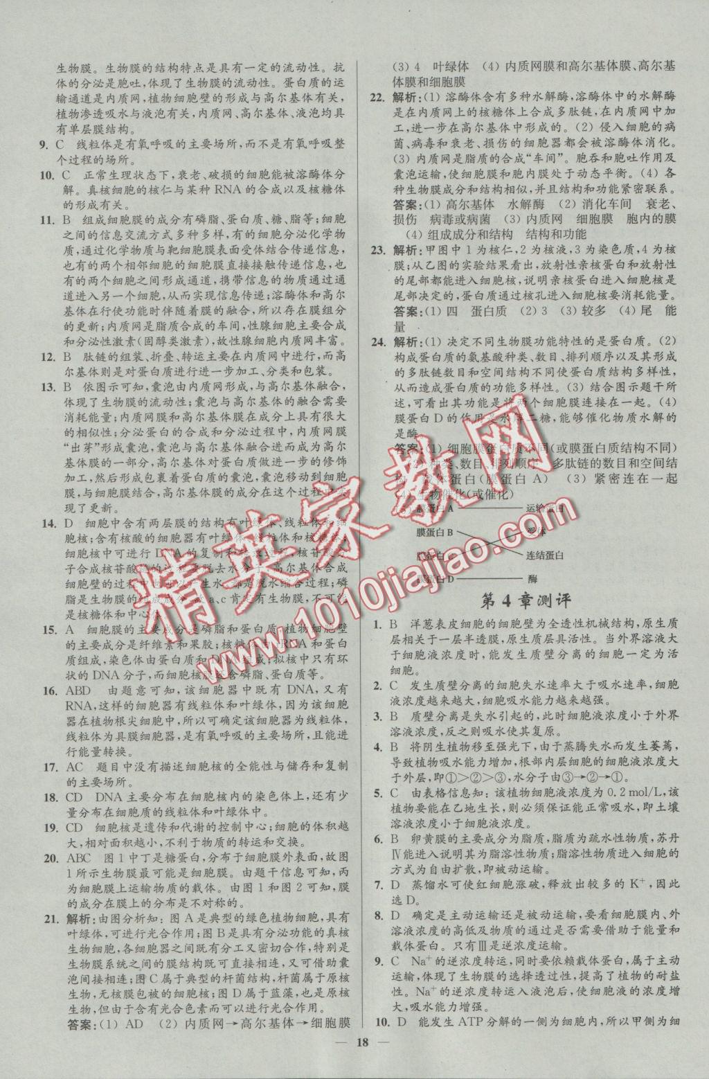 新課程自主學習與測評高中生物必修1人教版 參考答案第18頁
