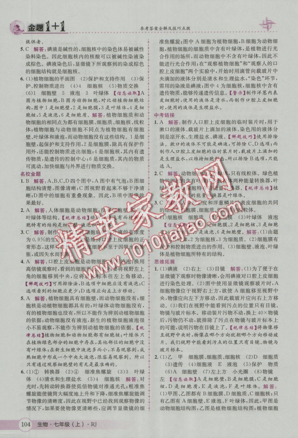 2016年金題1加1七年級生物上冊人教版 參考答案第12頁