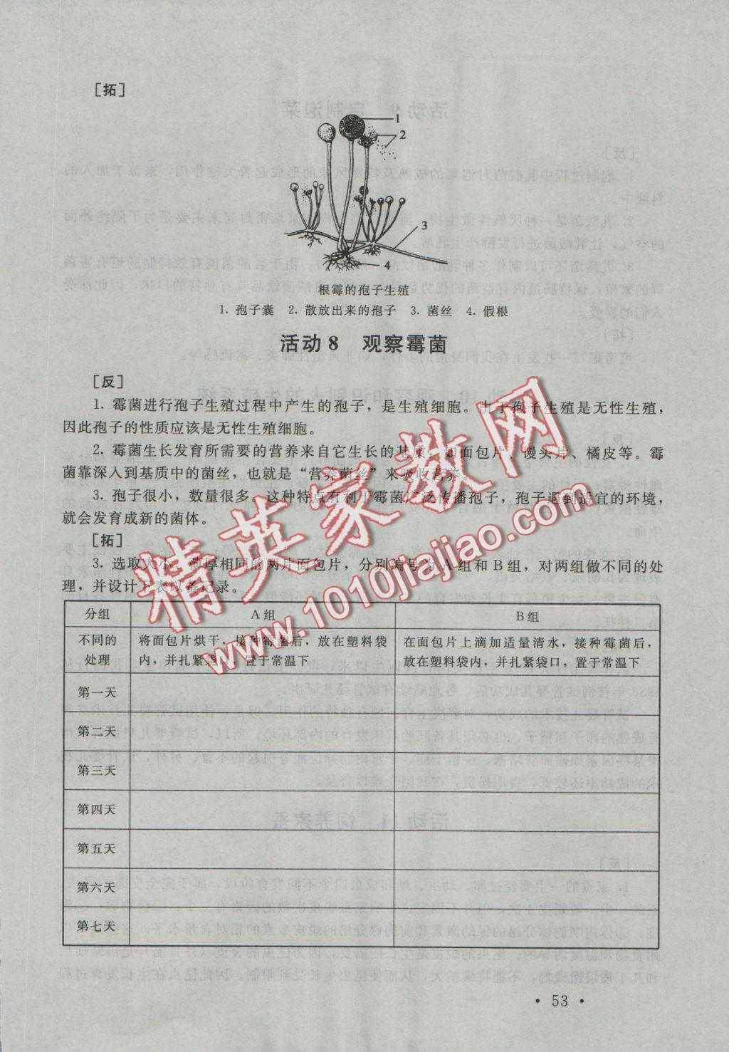 2016年实验探究报告册八年级生物上册北师大版 参考答案第4页