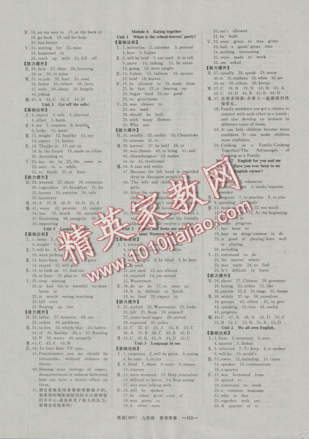 2016年全效學習課時提優(yōu)九年級英語全一冊外研版 參考答案第20頁