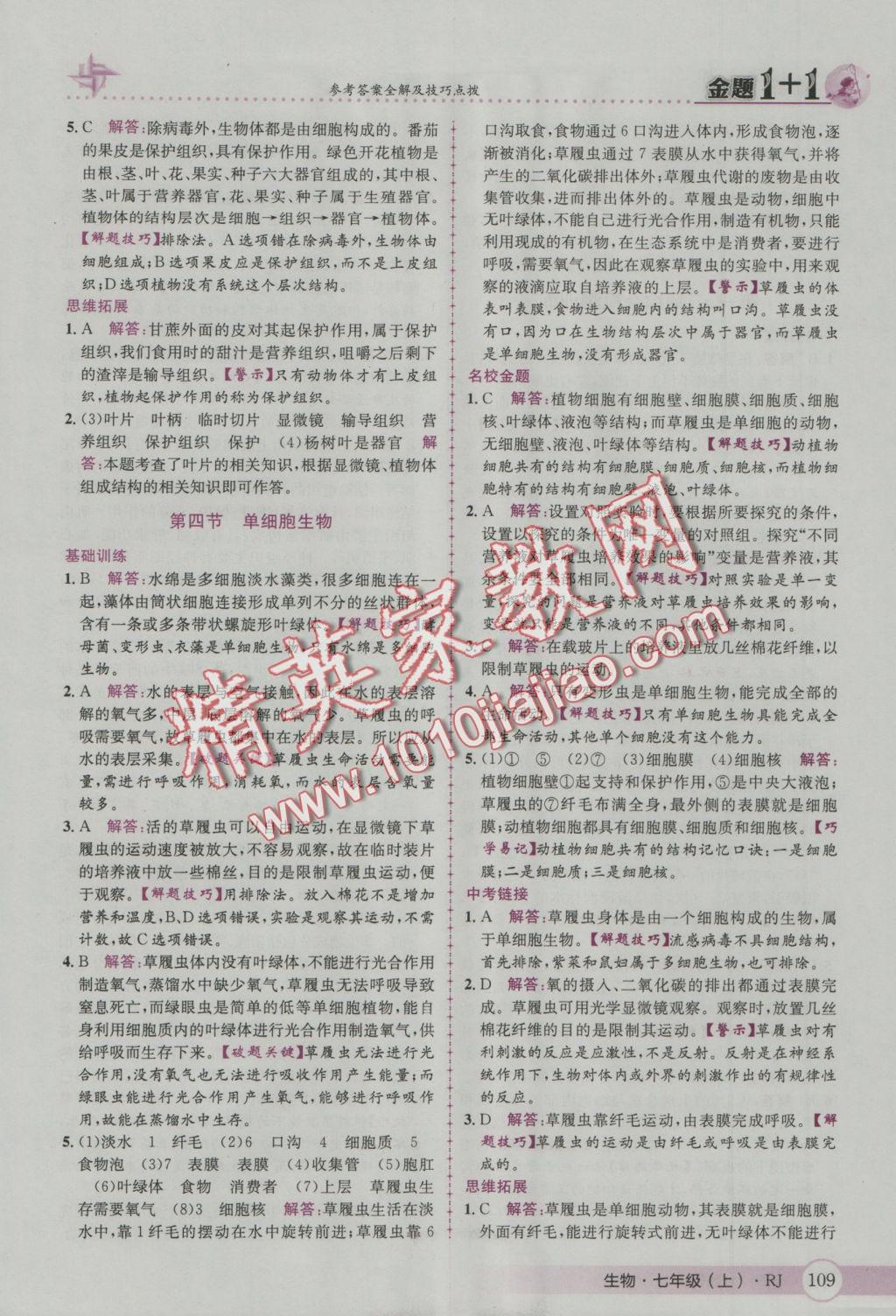 2016年金題1加1七年級生物上冊人教版 參考答案第17頁