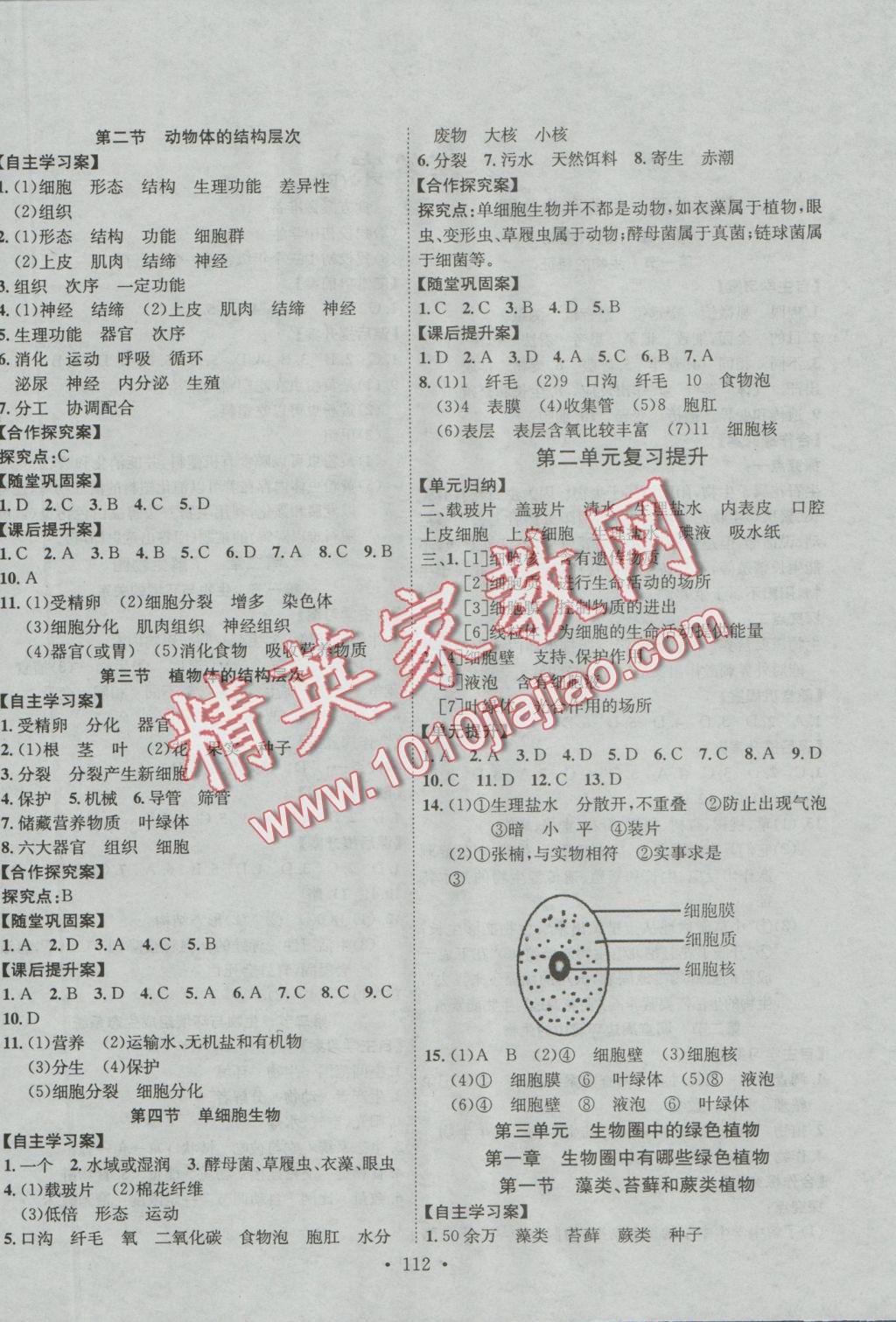 2016年课堂导练1加5七年级生物上册人教版 参考答案第4页