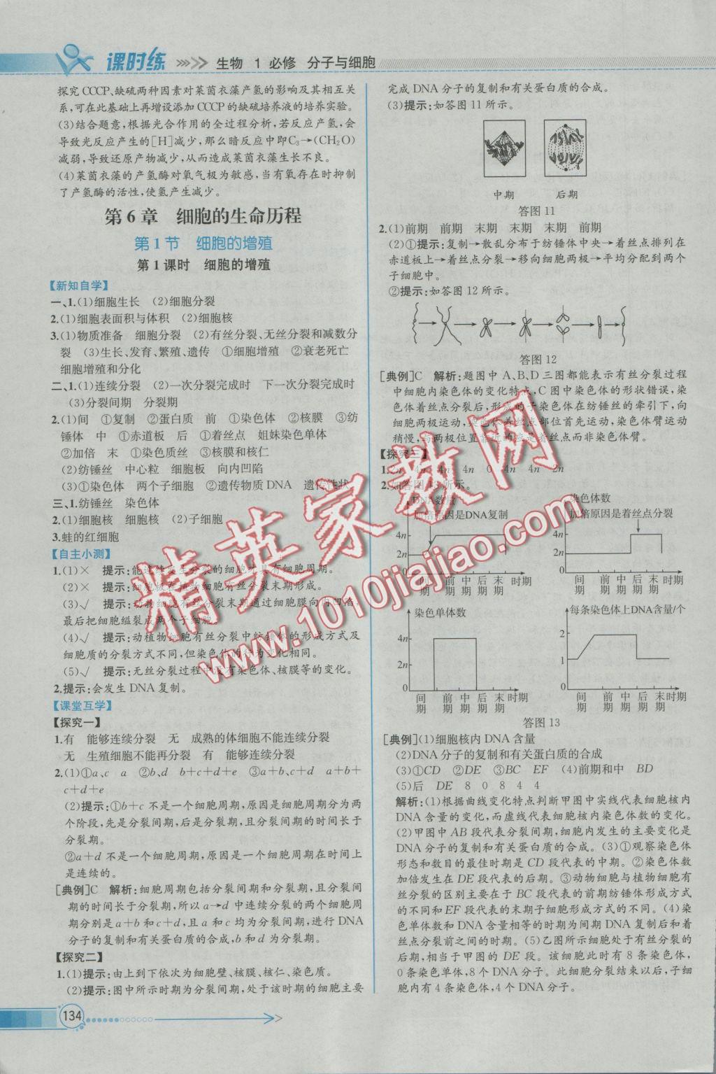 同步導(dǎo)學(xué)案課時(shí)練生物必修1人教版 參考答案第24頁