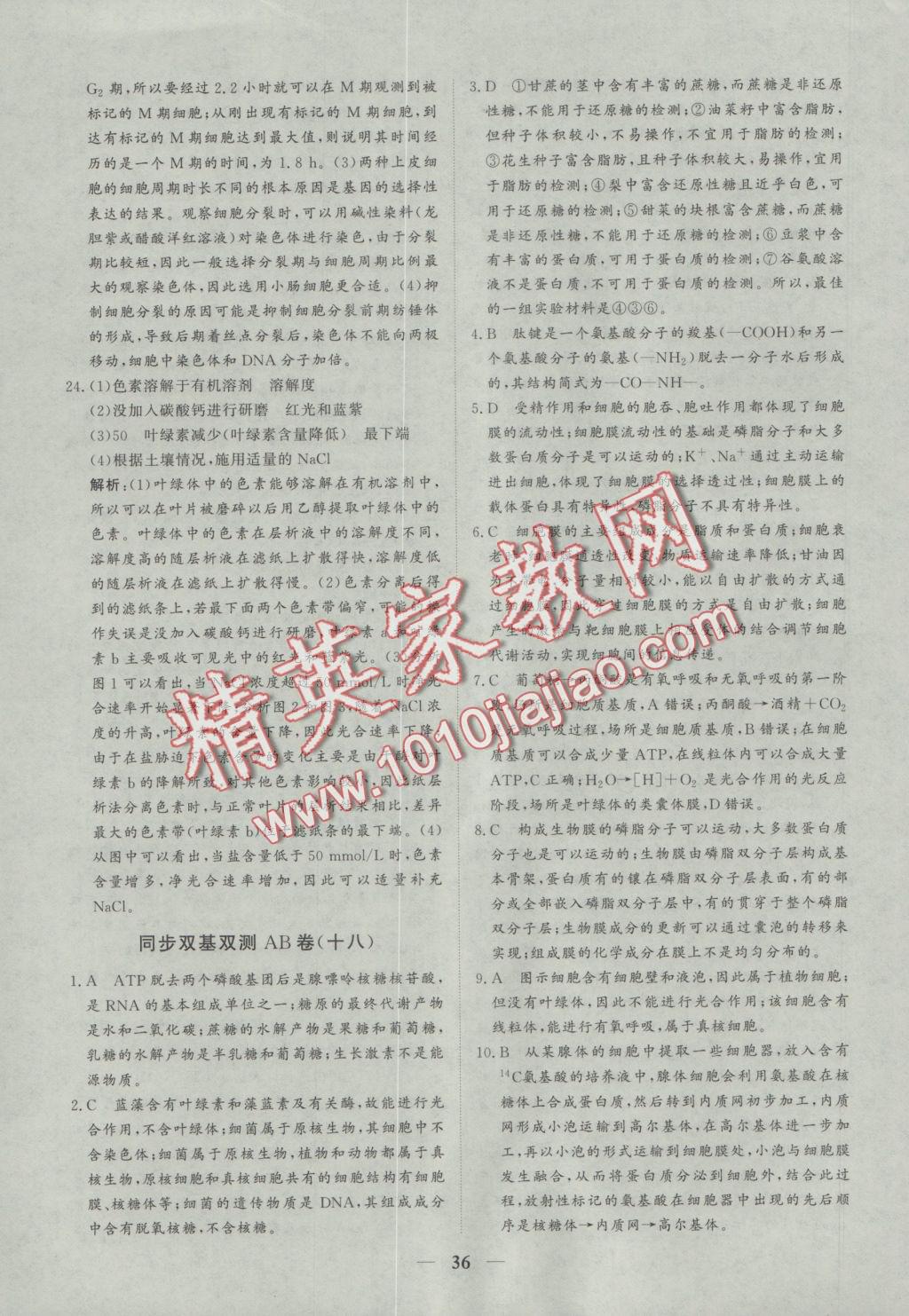 創(chuàng)新思維同步雙基雙測AB卷生物必修1 參考答案第36頁
