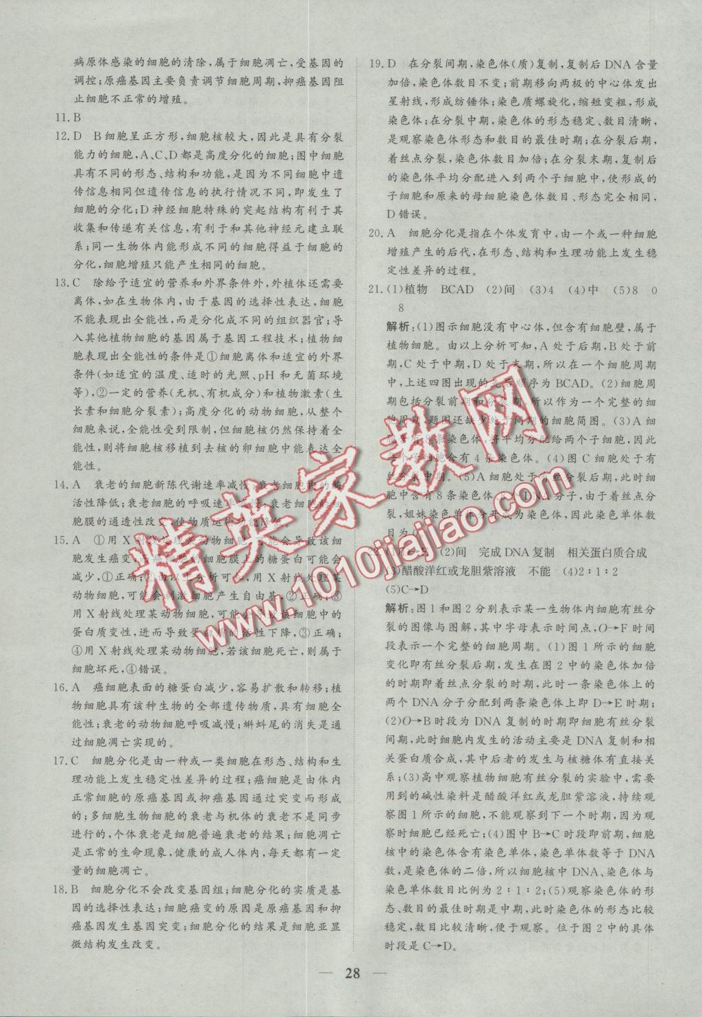 創(chuàng)新思維同步雙基雙測AB卷生物必修1 參考答案第28頁