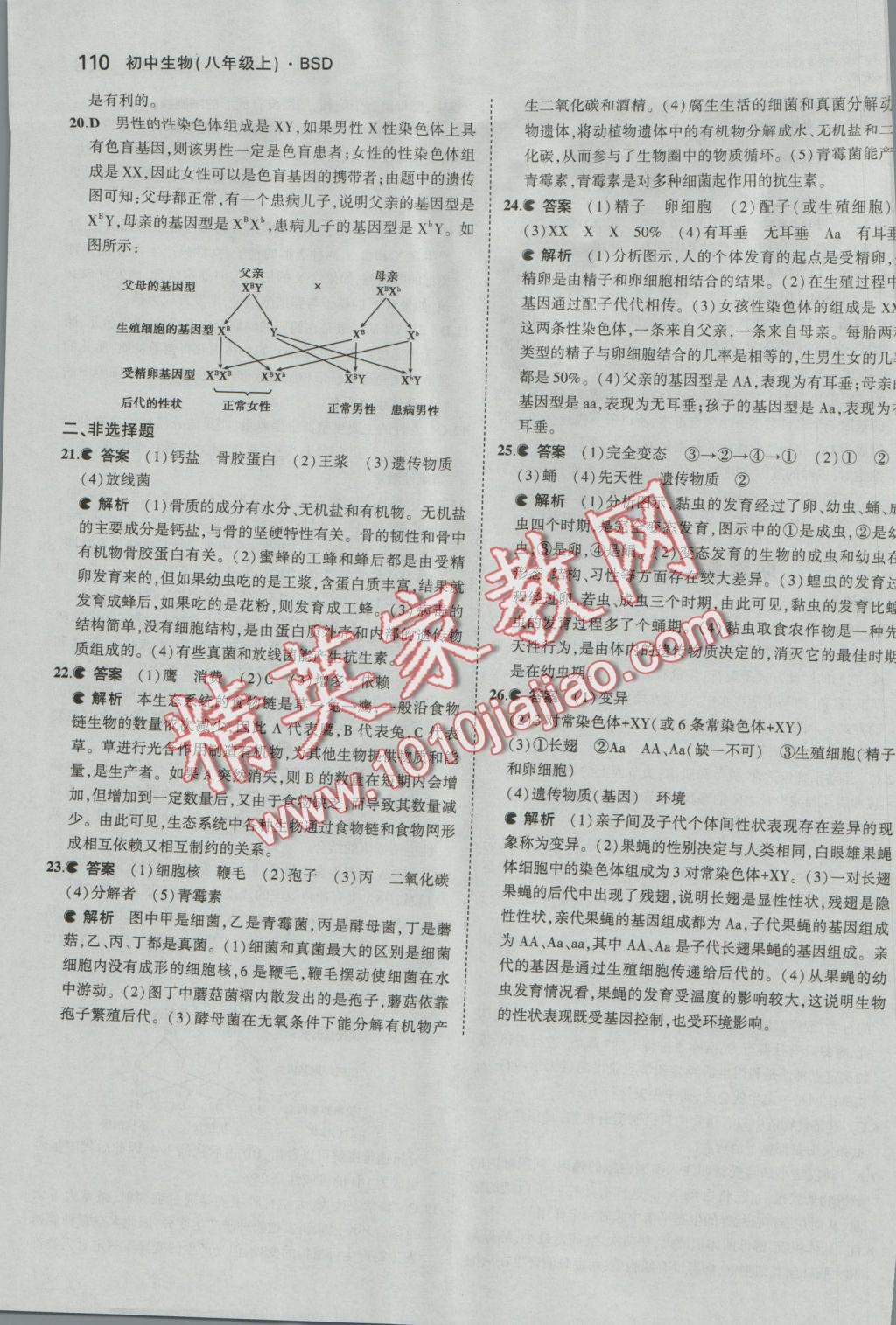 2016年5年中考3年模拟初中生物八年级上册北师大版 参考答案第35页