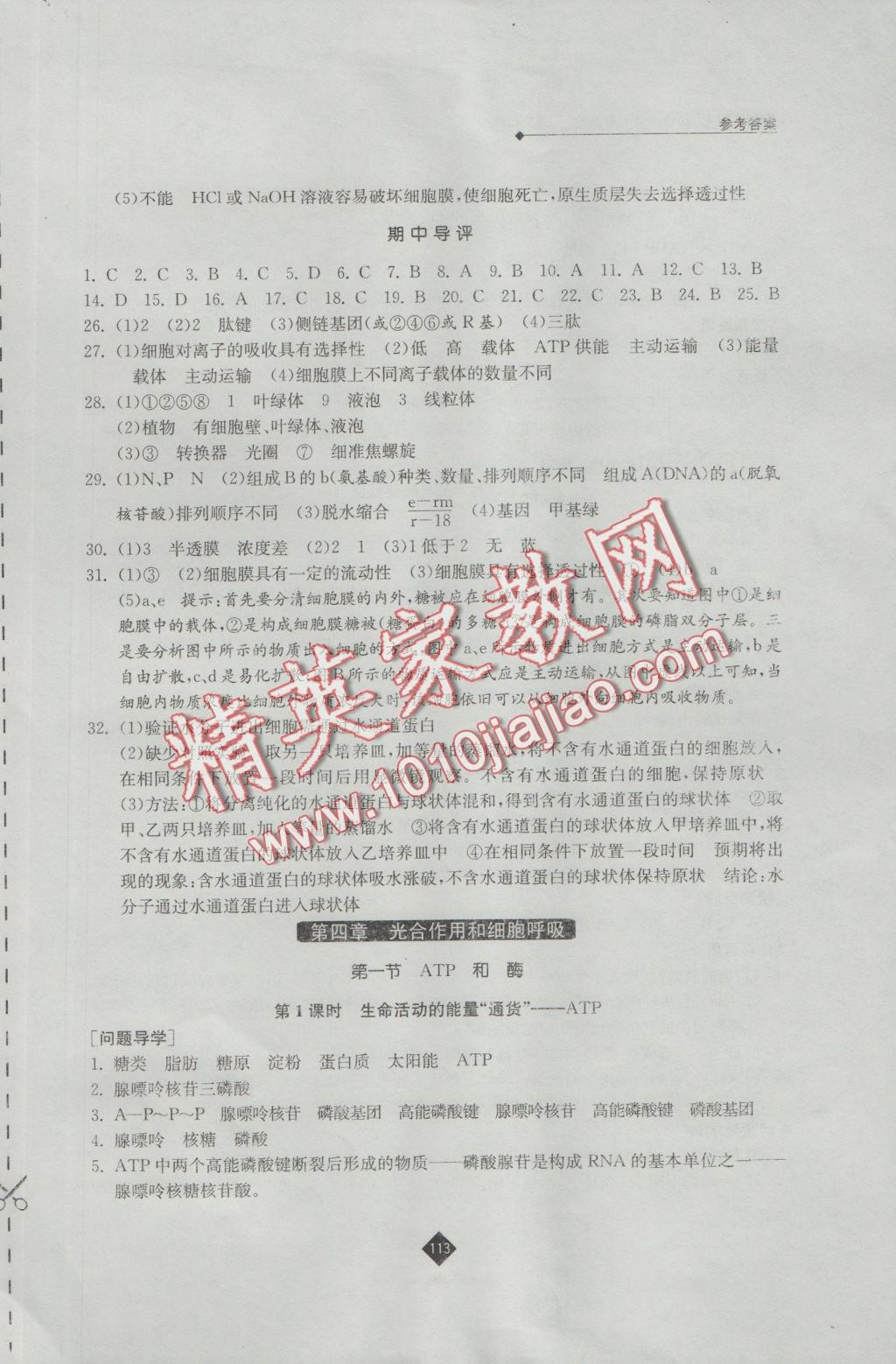 伴你學(xué)高中生物必修1蘇教版 參考答案第9頁