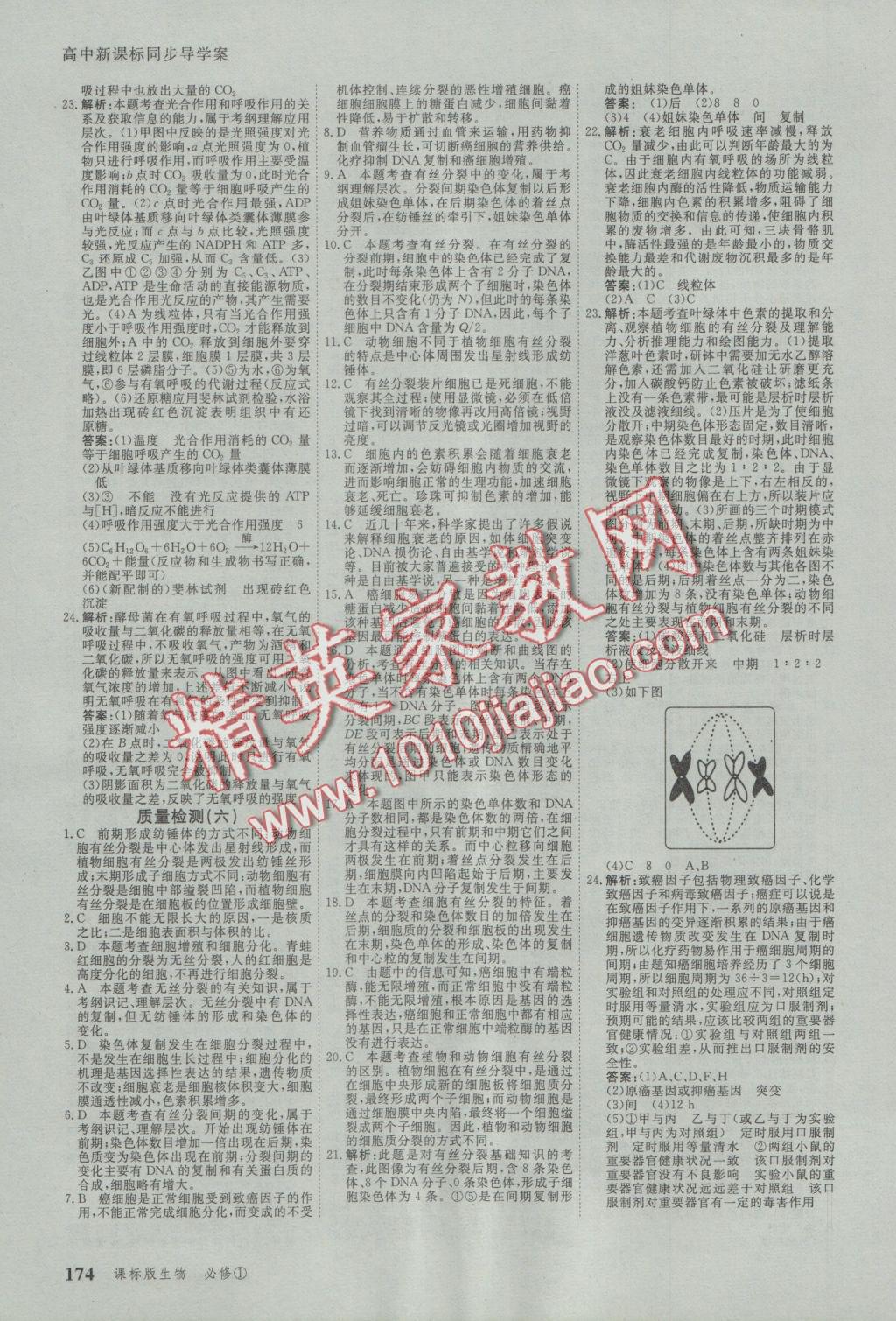 與名師對話高中新課標(biāo)同步導(dǎo)學(xué)案生物必修1人教版 參考答案第24頁