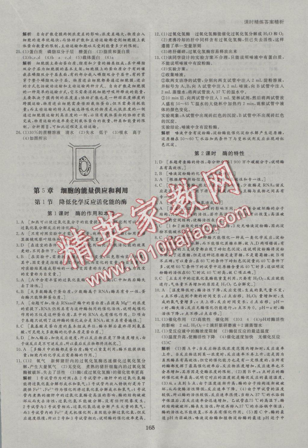 創(chuàng)新設(shè)計課堂講義生物必修1人教版 參考答案第24頁