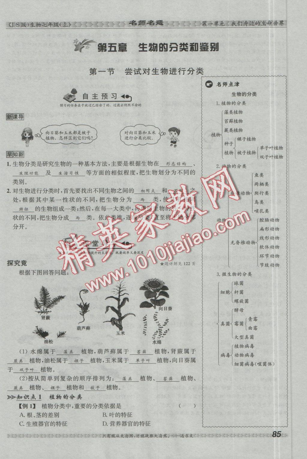 2016年優(yōu)學(xué)名師名題七年級(jí)生物上冊(cè)江蘇版 第五章 生物的分類(lèi)和鑒別第81頁(yè)