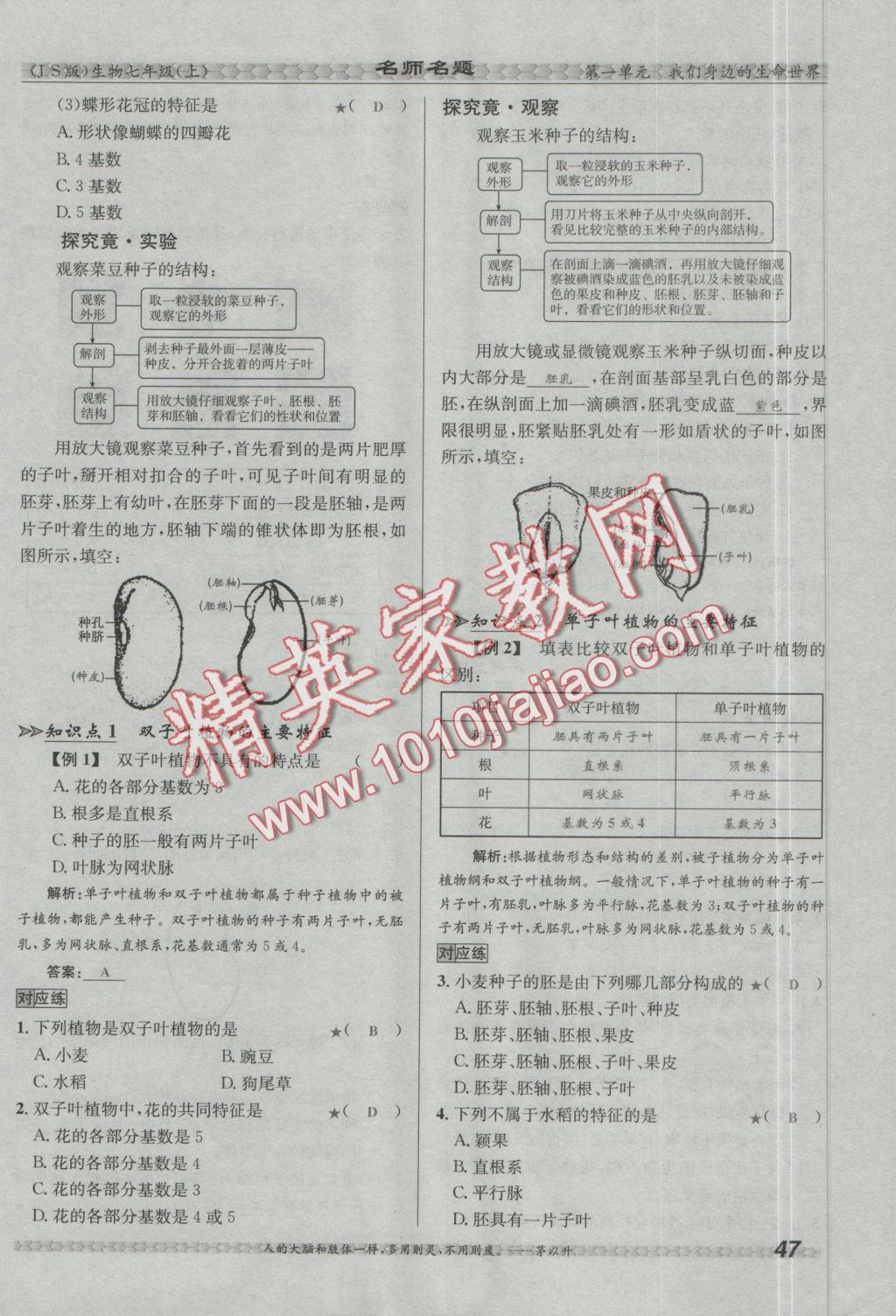 2016年優(yōu)學(xué)名師名題七年級(jí)生物上冊江蘇版 第三章 形形色色的植物第53頁