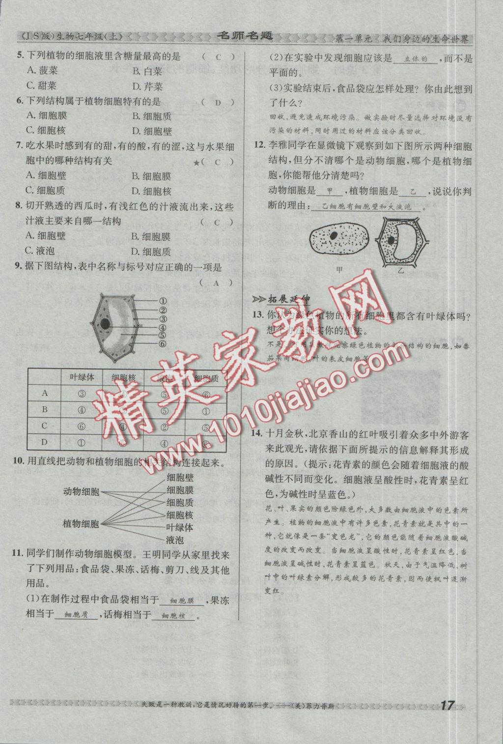 2016年優(yōu)學(xué)名師名題七年級(jí)生物上冊(cè)江蘇版 第二章 生物體的結(jié)構(gòu)層次第65頁(yè)