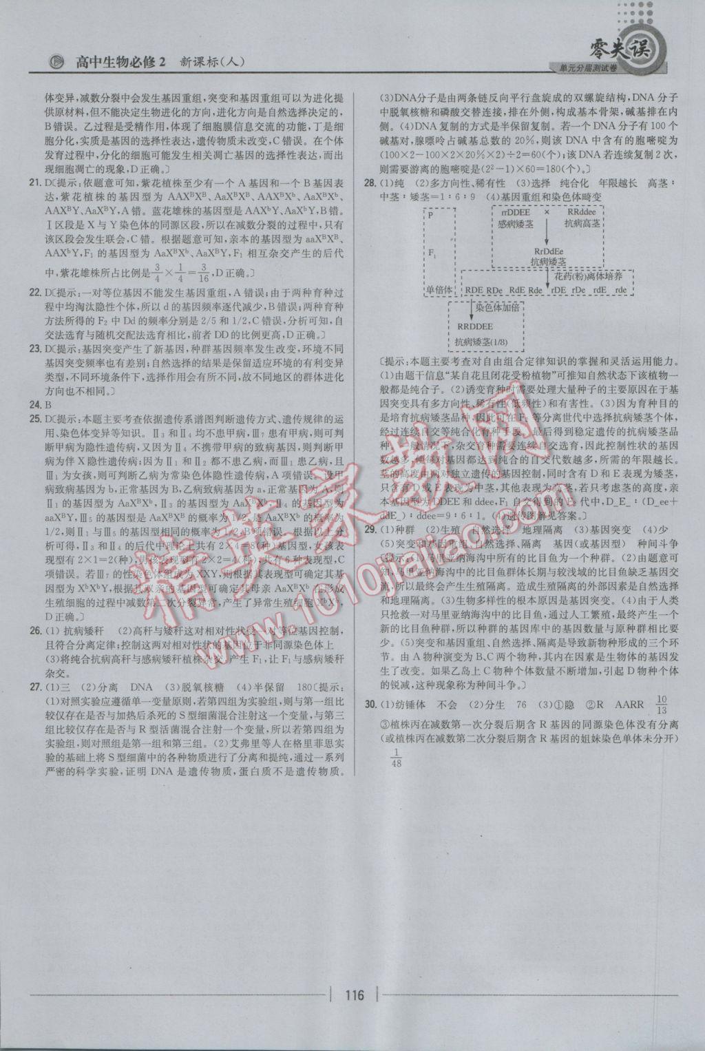 零失誤單元分層測(cè)試卷生物必修2人教版 參考答案第28頁(yè)