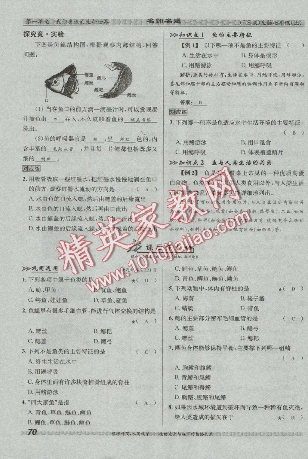 2016年優(yōu)學(xué)名師名題七年級(jí)生物上冊(cè)江蘇版 第四章 多種多樣的動(dòng)物第104頁