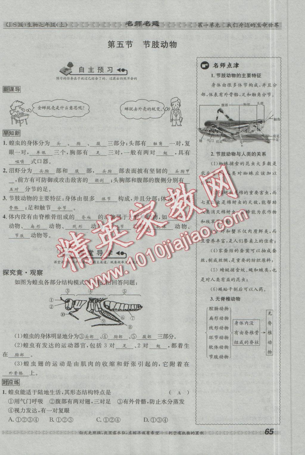 2016年優(yōu)學(xué)名師名題七年級(jí)生物上冊(cè)江蘇版 第四章 多種多樣的動(dòng)物第99頁(yè)