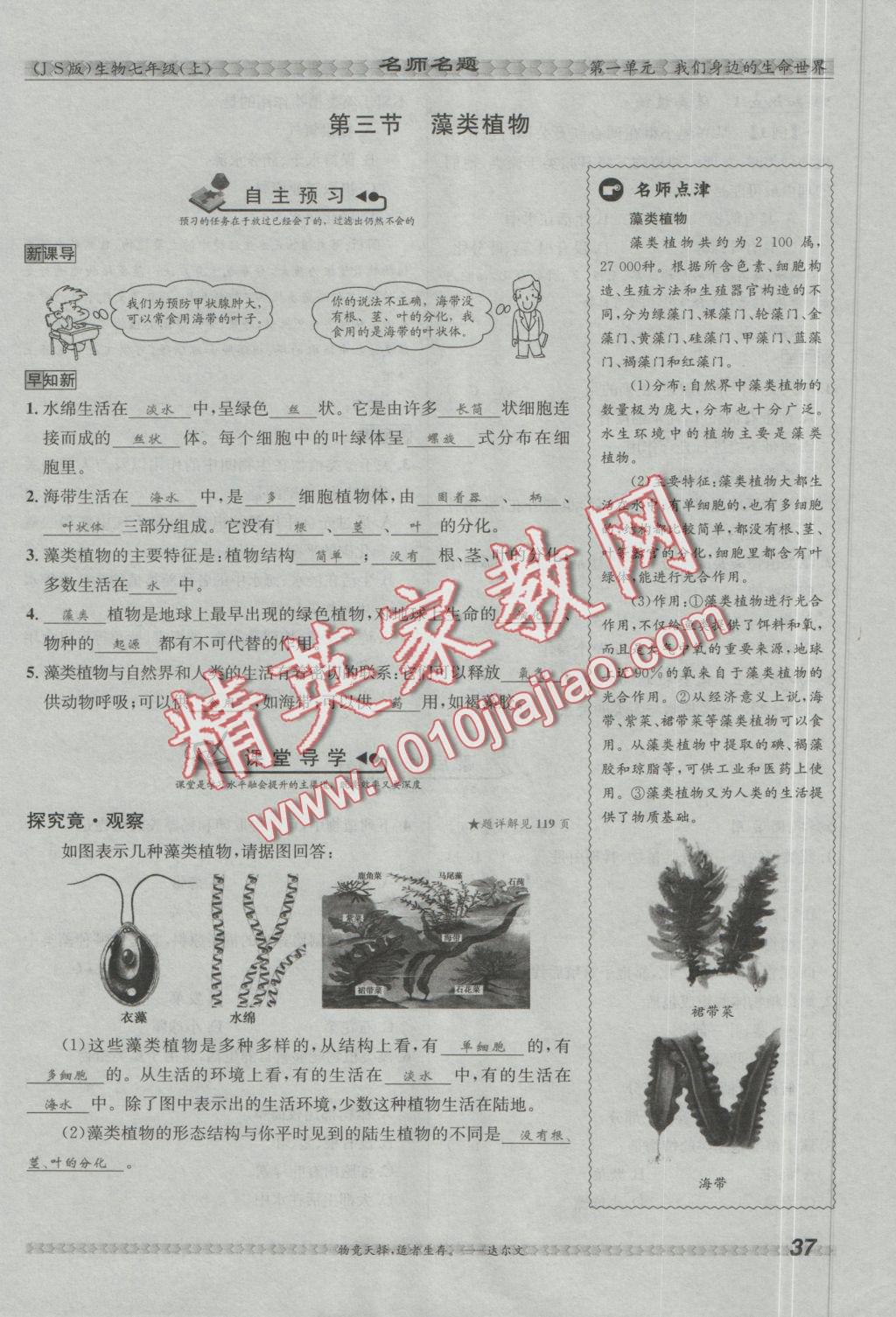 2016年優(yōu)學(xué)名師名題七年級(jí)生物上冊(cè)江蘇版 第三章 形形色色的植物第43頁(yè)