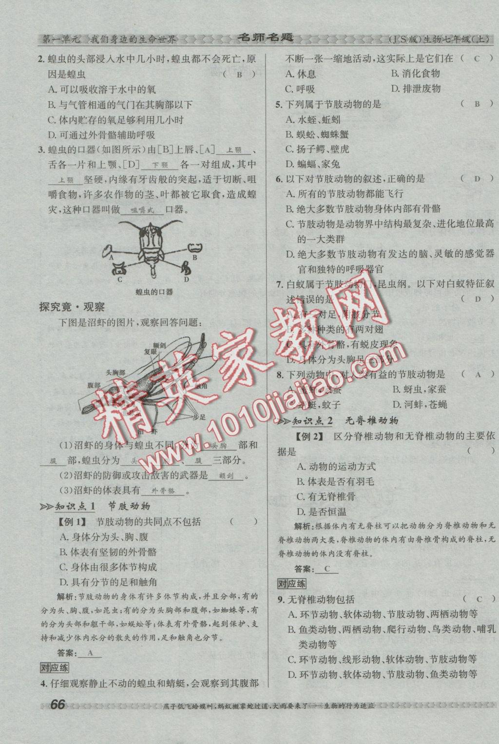 2016年優(yōu)學(xué)名師名題七年級(jí)生物上冊(cè)江蘇版 第四章 多種多樣的動(dòng)物第100頁(yè)