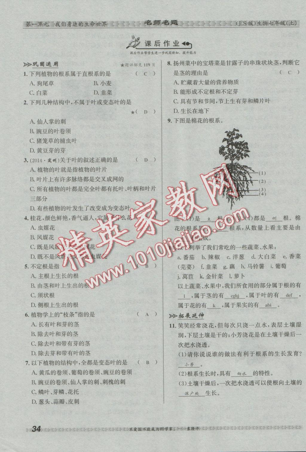 2016年優(yōu)學(xué)名師名題七年級(jí)生物上冊(cè)江蘇版 第三章 形形色色的植物第40頁(yè)