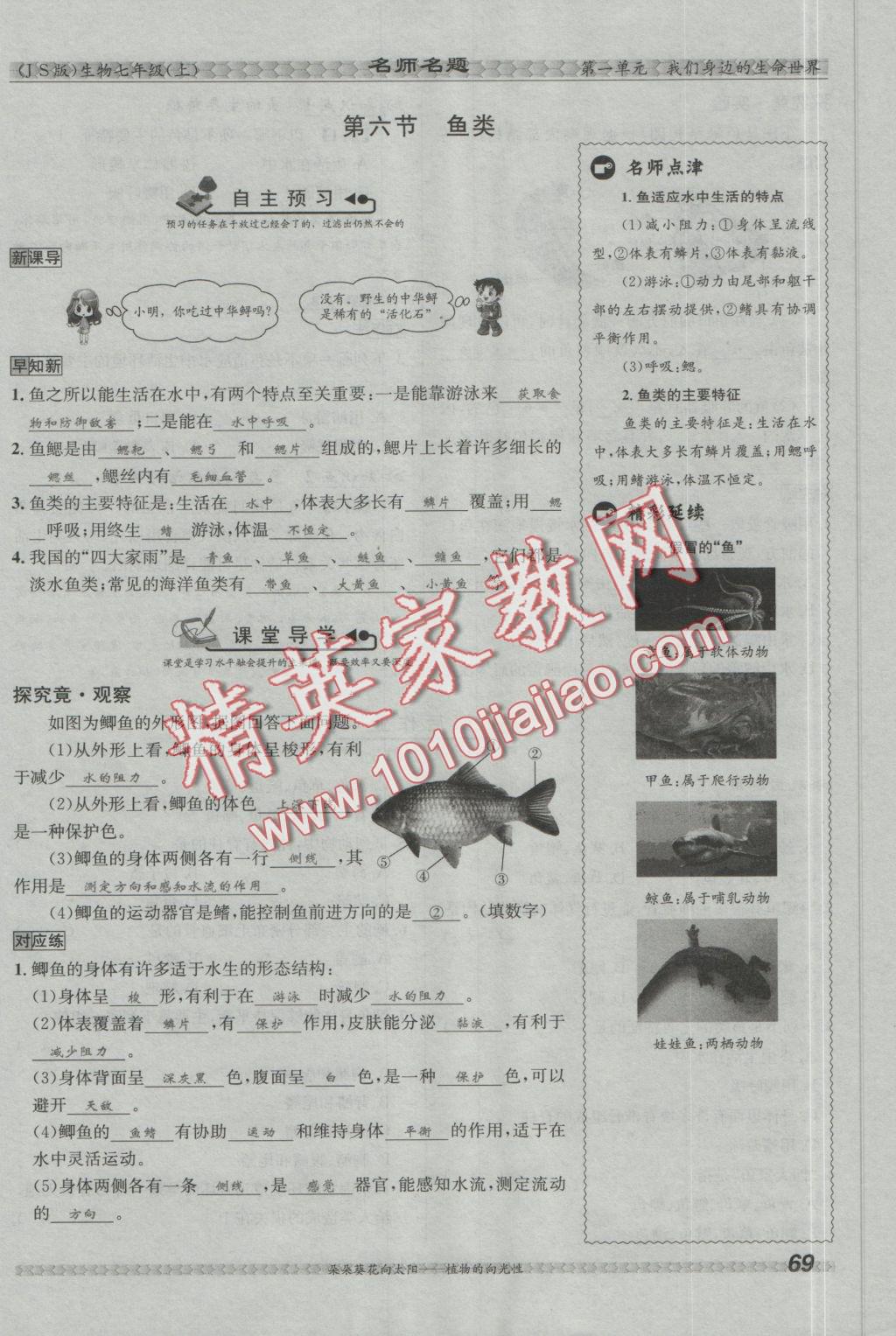 2016年優(yōu)學(xué)名師名題七年級(jí)生物上冊(cè)江蘇版 第四章 多種多樣的動(dòng)物第103頁(yè)