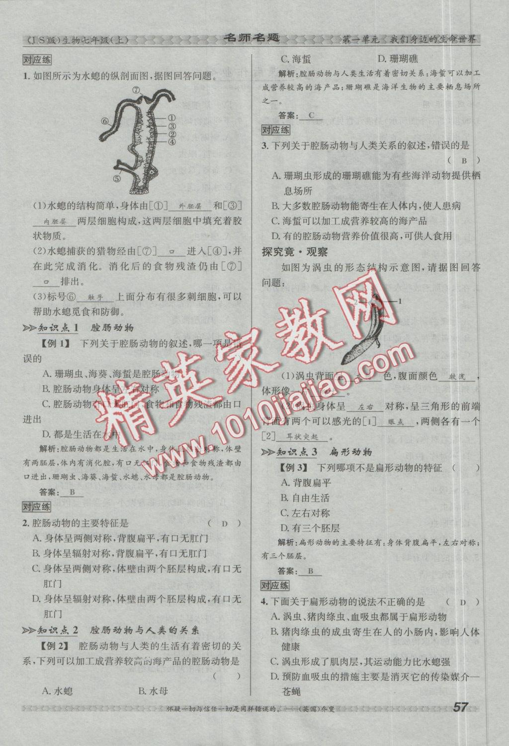 2016年優(yōu)學(xué)名師名題七年級(jí)生物上冊(cè)江蘇版 第四章 多種多樣的動(dòng)物第91頁(yè)