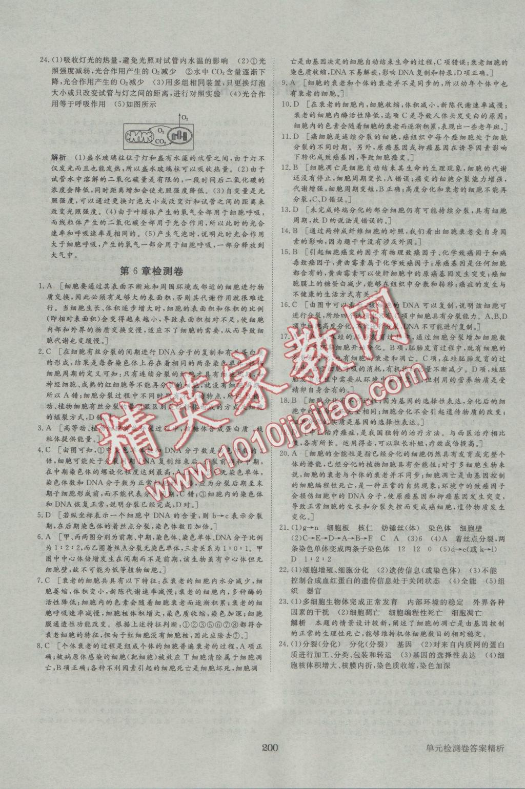 步步高學(xué)案導(dǎo)學(xué)與隨堂筆記生物必修1人教版 參考答案第28頁(yè)