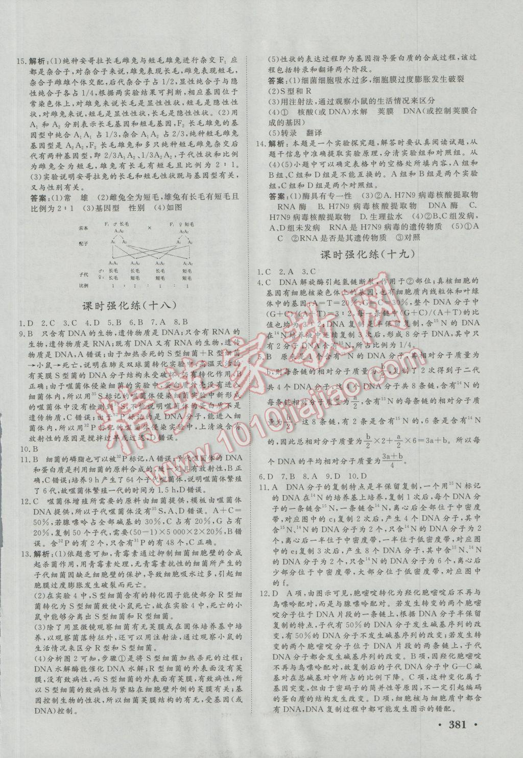 課堂新坐標(biāo)高三一輪總復(fù)習(xí)生物人教版 分層練測卷第16頁