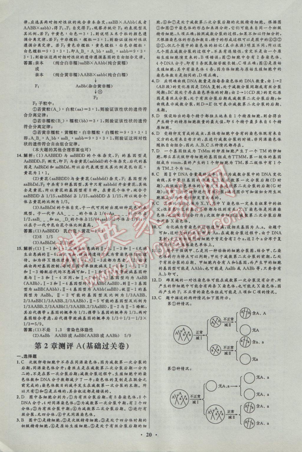 2016年高中同步測控優(yōu)化設(shè)計生物必修2人教版 參考答案第20頁