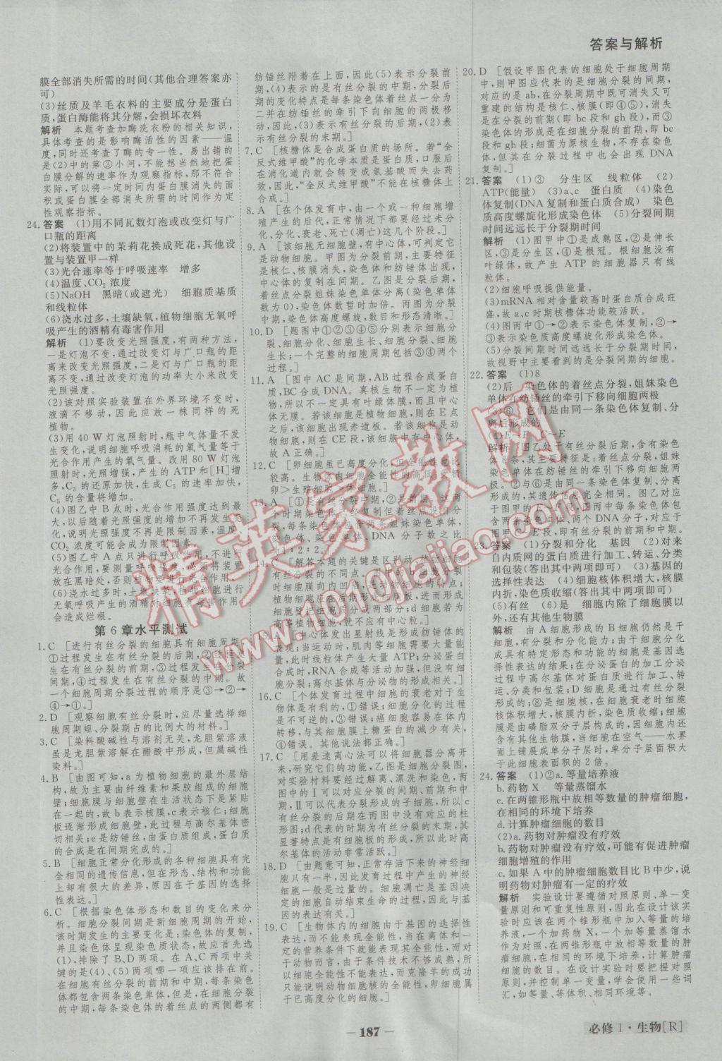 金版教程高中新課程創(chuàng)新導(dǎo)學(xué)案生物必修1人教版 參考答案第22頁(yè)