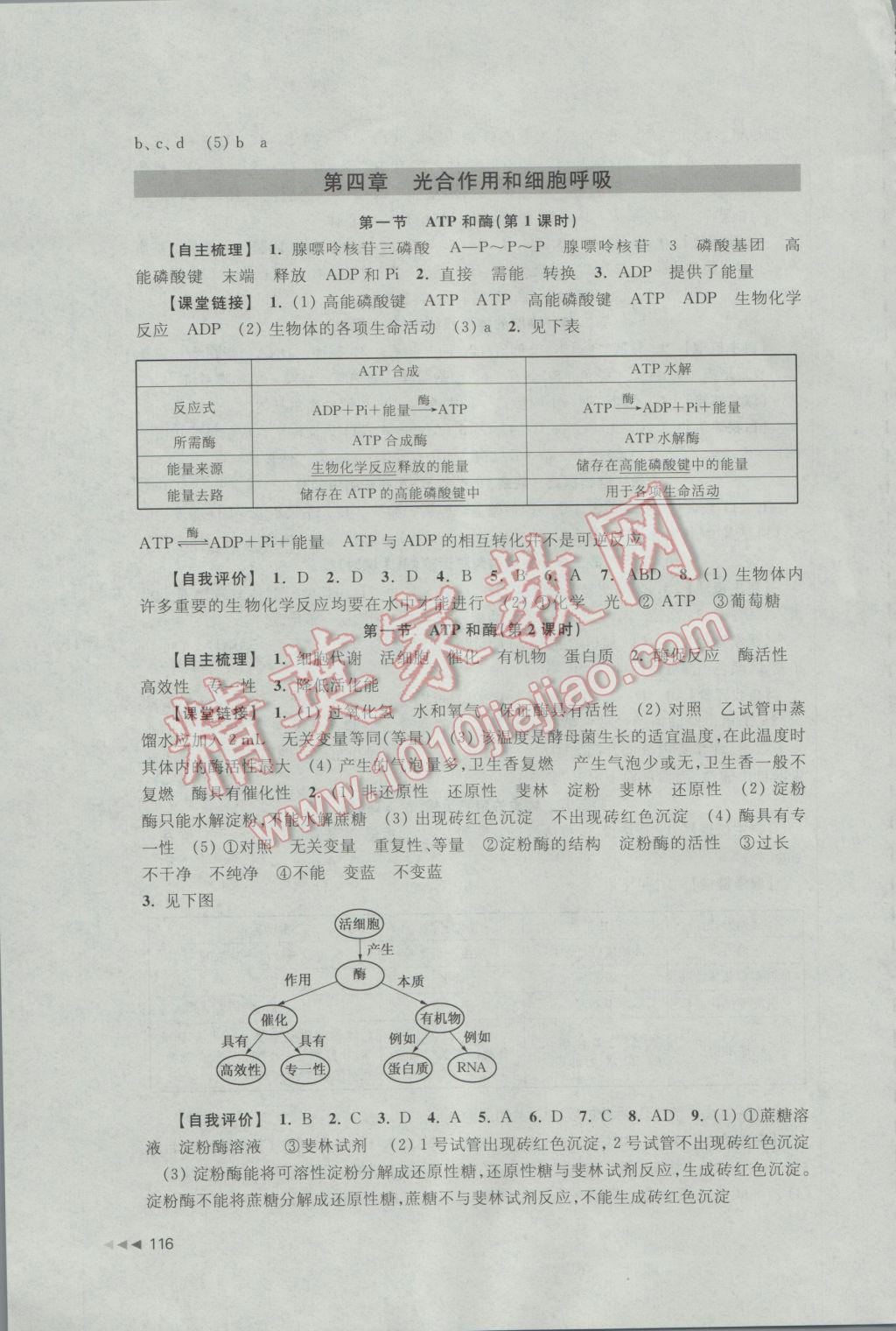 2016年课课练高中生物必修1苏教版 参考答案第6页