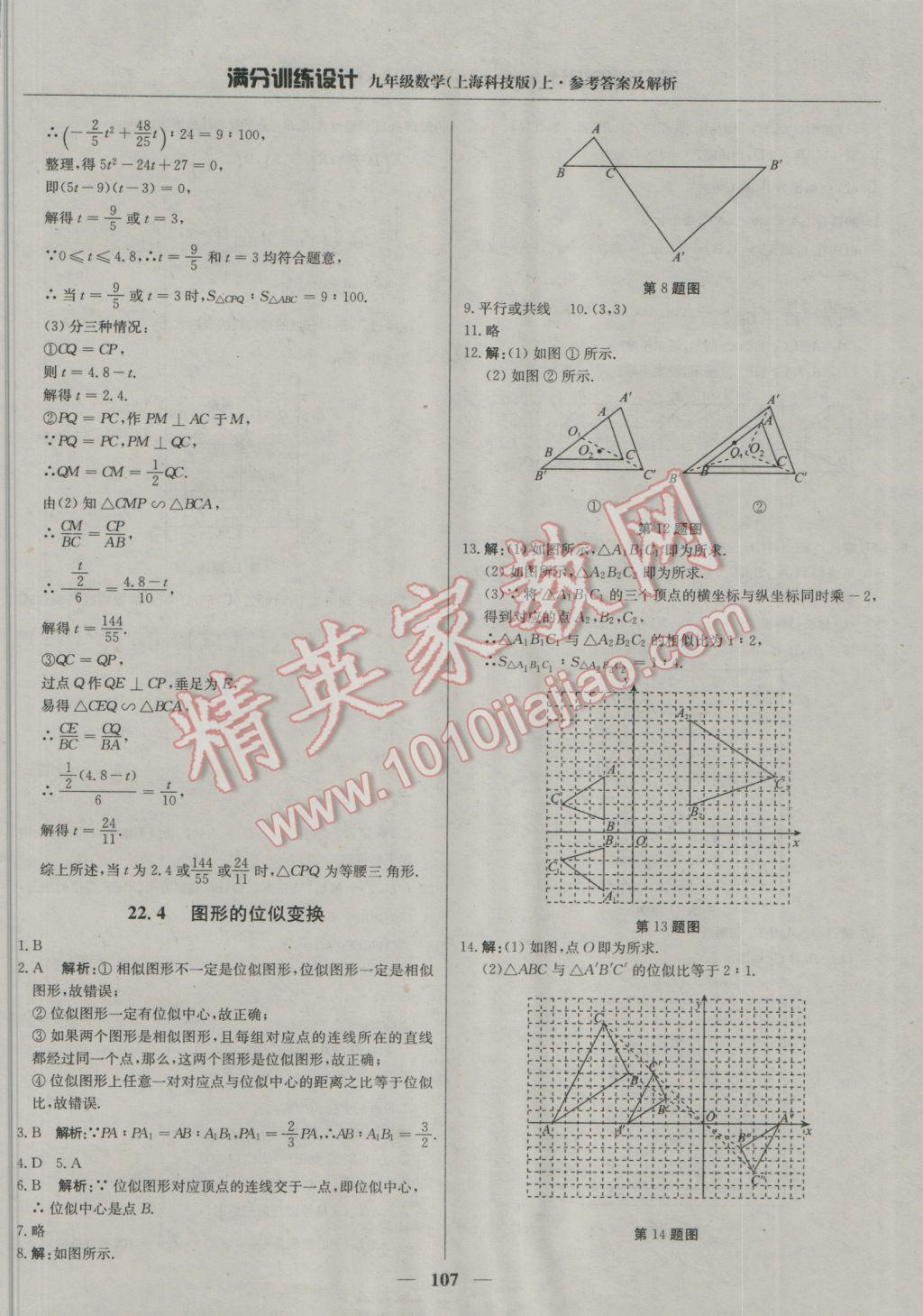 2016年滿分訓(xùn)練設(shè)計(jì)九年級數(shù)學(xué)上冊滬科版 參考答案第20頁