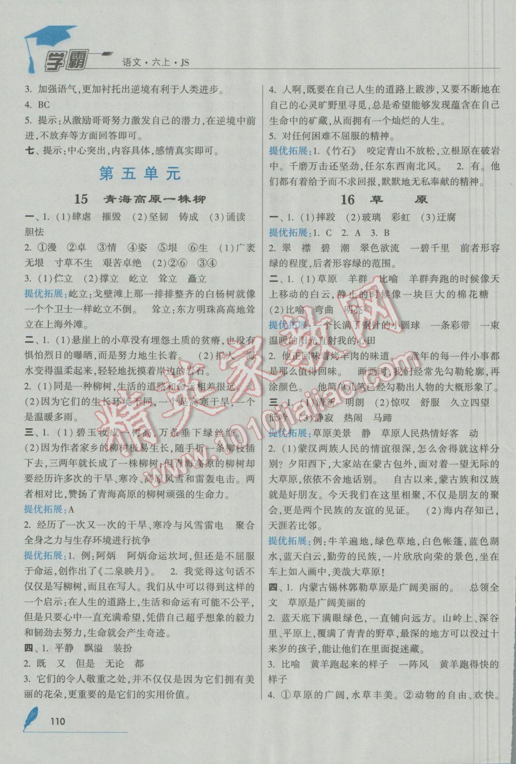 2016年經(jīng)綸學(xué)典學(xué)霸六年級語文上冊江蘇國標(biāo)版 參考答案第10頁