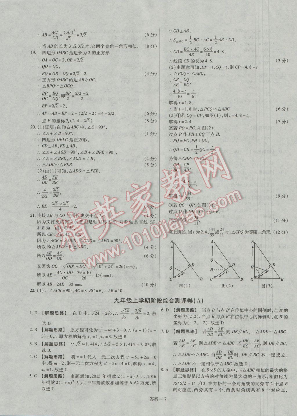 2016年金考卷活頁(yè)題選九年級(jí)數(shù)學(xué)上冊(cè)華師大版 參考答案第7頁(yè)